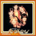 The New Seekers - Captain Stormy