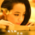 吴瑶 - 鹤飞翔
