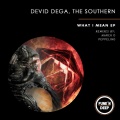 Devid Dega、The Southern - What I Mean