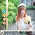 秦芹 - 东篱花雨