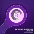 Raz Nitzan、Moya Brennan - Find The Sun (Solarstone Remix)