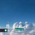 魅小影 - Born To Die (Remix)