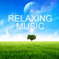 Nature Sounds - Zen Garden