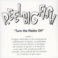Reel Big Fish - Alternative Baby