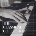 Slovak Radio Symphony Orchestra、ondrej lenard - Peter and the Wolf, Op. 67: Peter Catches the Wolf with a Lasso