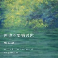 胡光渝 - 再也不要错过你
