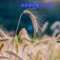 宋星 - 前世情解不开今生锁