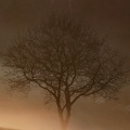 Spa Music Relaxation、SPA、Yoga - Spirits In Flight