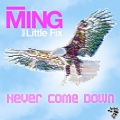 Ming、Kah-Ming Ng - Never Come Down