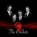 The Crickets - It's So Easy