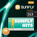 Sunfly Karaoke - Shady Love