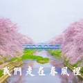洪凯 - 我们走在春风里