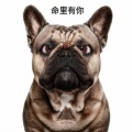 文雯 - 命里有你