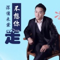 凌宏兵 - 不想你走