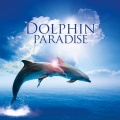 Global Journey - Dolphin Dreams