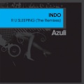 Indo - R U Sleeping