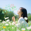 娜家姑娘 - 我在春天等你