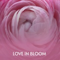 The Platters - I Love You 1000 Times
