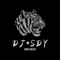 DJSdy - Let Go