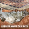 Music for Pets Library - Cat Resting