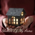 Willie Nelson - Shelter of My Arms