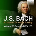 Netherlands Bach Collegium、Pieter Jan Leusink、Sytse Buwalda - II. Recitativo. Mein liebster Gott