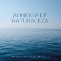 Vibraciones Tranquilas、Masajes Spas、Serenidad y Armonía - Agua Del Mar Azul
