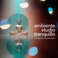 Rilassante musica profonda - Remote Surround