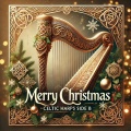 Layne McDonald - Irish Traditional Music