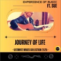 Experience Of Music、Sue、Dancefloor Formation - Journey Of Life