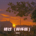 隋博文 - 错过
