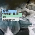 404Hz - 短暂的离开是因为现实太吵 (纯音乐)