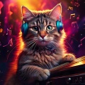 homework beats、Dream Cats、Dreamy Cat Music - Graceful Cat Patterns