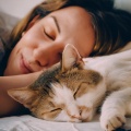 Ballenas sónicas、Reiki calmante para seres、Sonidos para seres - Ritmos Relajantes Para Reconfortar A Las Mascotas