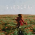 风浪不平息 - 飞