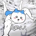 大清第一巴图鲁 - 独攀小八 (乌萨奇版)