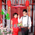 杨晨晖 - 茶恋