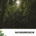 Cat Music Therapy、Nature Recordings、Schlafmusik - Ruhige Kaskadenkadenz