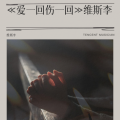 维斯李 - 爱一回伤一回