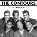 the contours - Do You Love
