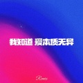 zyy - 我知道 爱本质无异