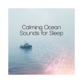 Outside Broadcast Recordings - Standing in Waves