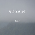 金钰儿 - 留不住的诺言