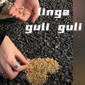 404Hz - linga guli guli (甜妹专属)