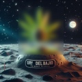 urydelbajio、Macro - Dia Normal (Explicit)