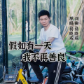杨晓威 - DJ版假如有一天我不在善良