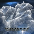 Scene - Distorted Feeling