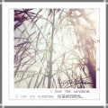 高鱼仙 - U Are My Sunshine