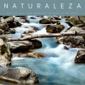 SPA、Masajes Spa、Academia de Música con Sonidos de la Naturaleza - Un Bosque Mágico