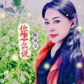 张凤兰 - 你怎么说